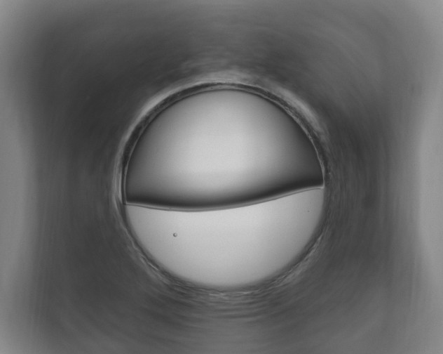 X0000111801272200907230948