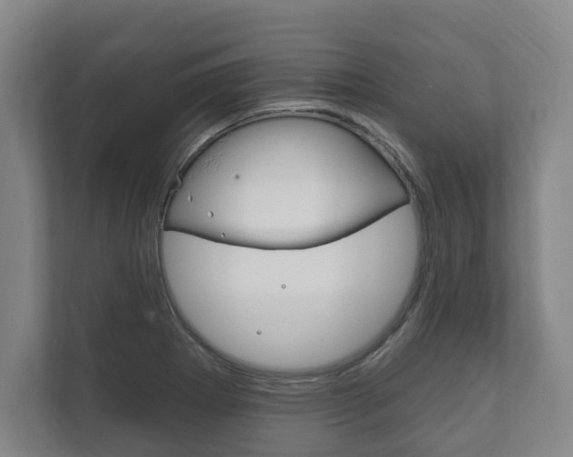 X0000111801273200907230948
