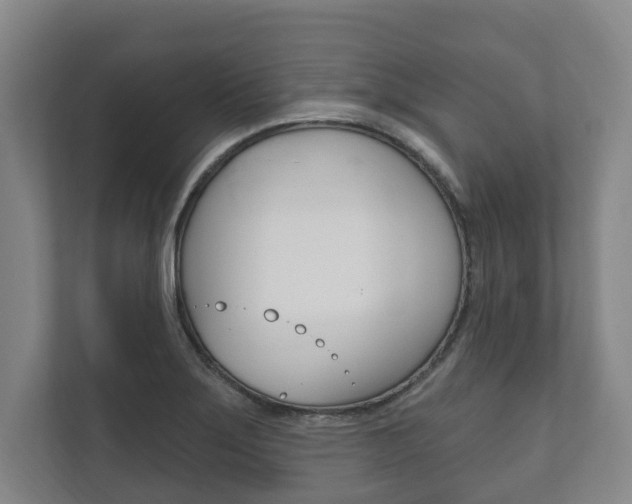 X0000111801275200907230948