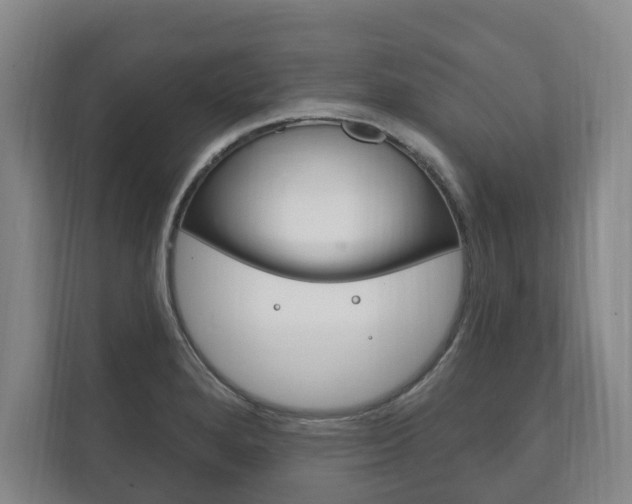 X0000111801280200907230947