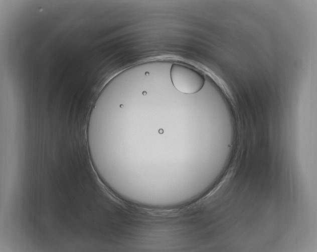 X0000111801281200907230947