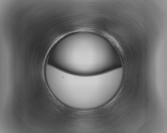 X0000111801284200907230947