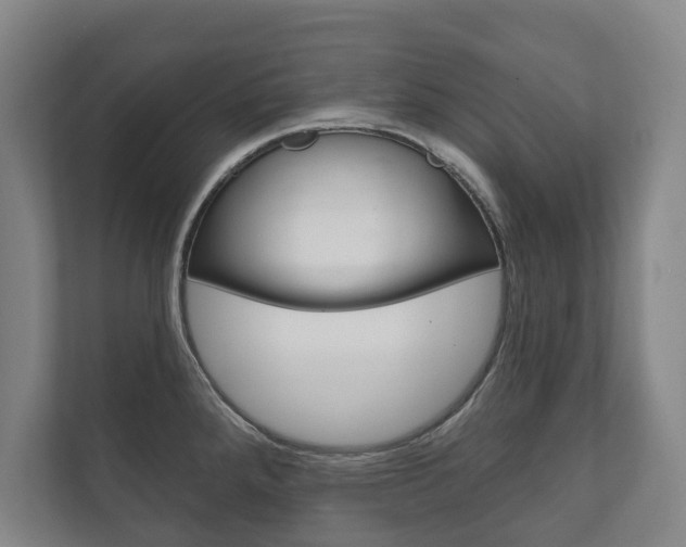 X0000111801288200907230947