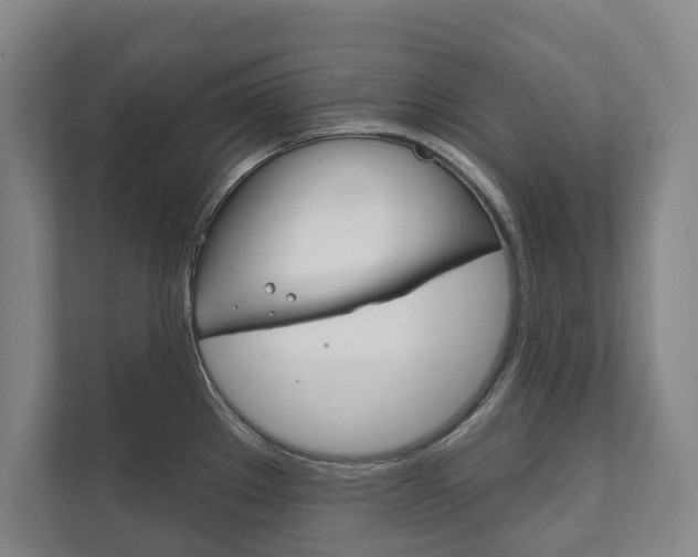 X0000111801289200907230947