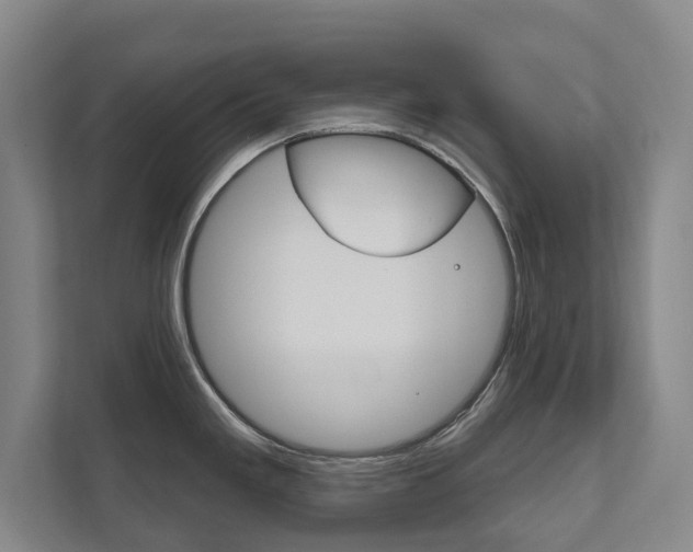 X0000111801293200907230947