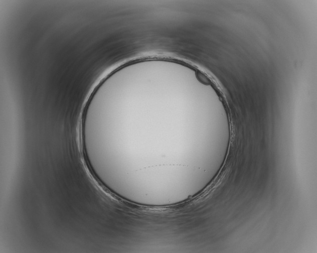 X0000111801295200907230947