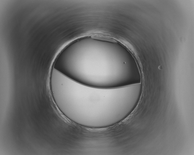 X0000111801296200907230947