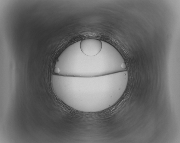X0000111801297200907230947