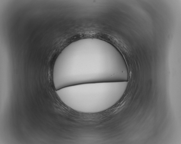 X0000111801299200907230947