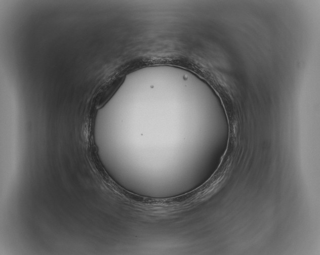 X0000111801300200907230947