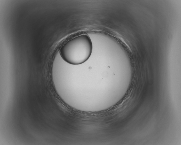 X0000111801304200907230947