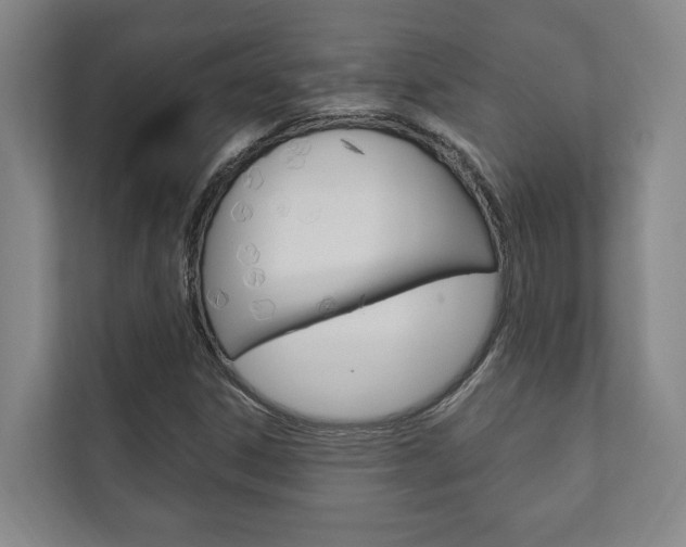 X0000111801306200907230947