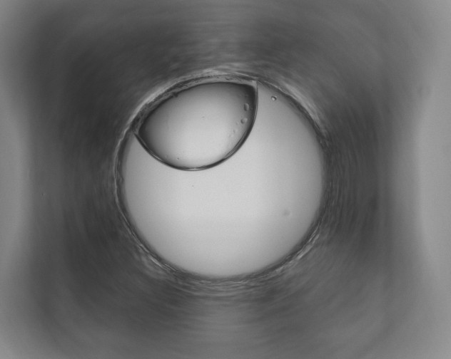 X0000111801308200907230947