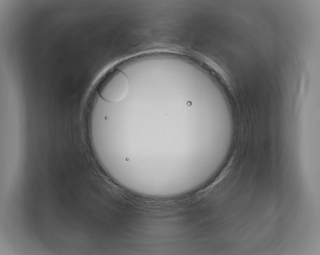 X0000111801310200907230947