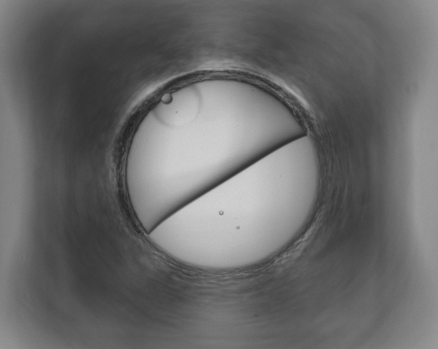 X0000111801311200907230947