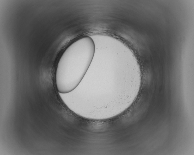 X0000111801314200907230947