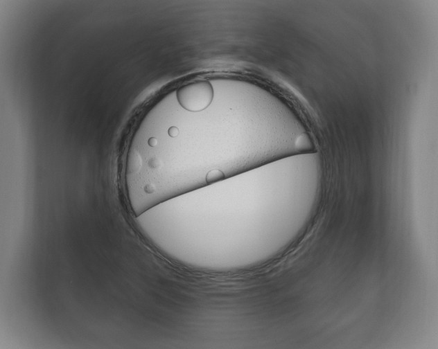 X0000111801315200907230947