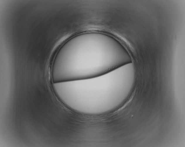 X0000111801317200907230947