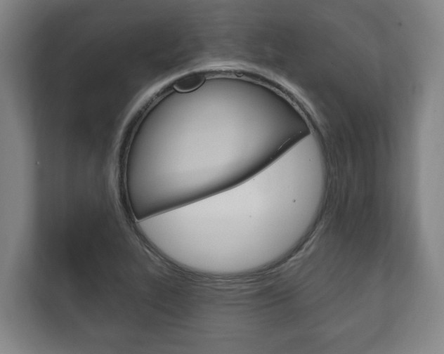 X0000111801319200907230947