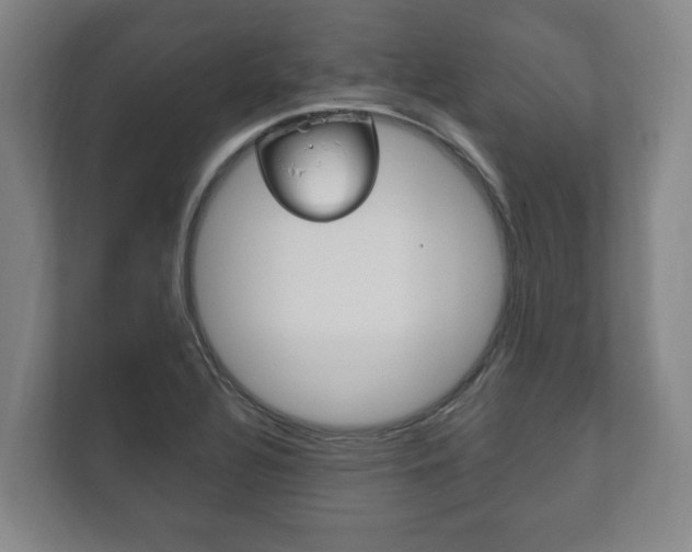 X0000111801320200907230947