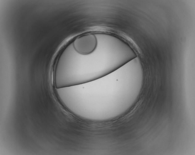X0000111801323200907230947