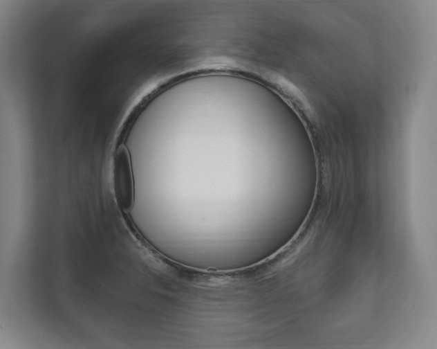X0000111801326200907230947