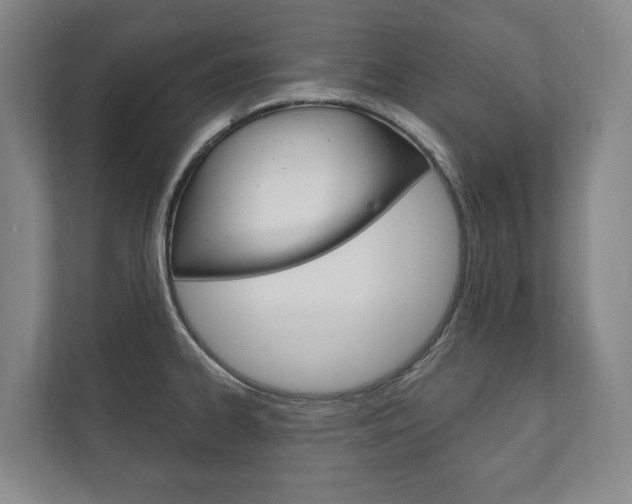X0000111801334200907230947