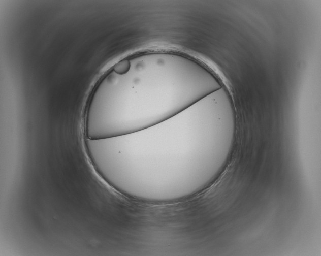 X0000111801335200907230947