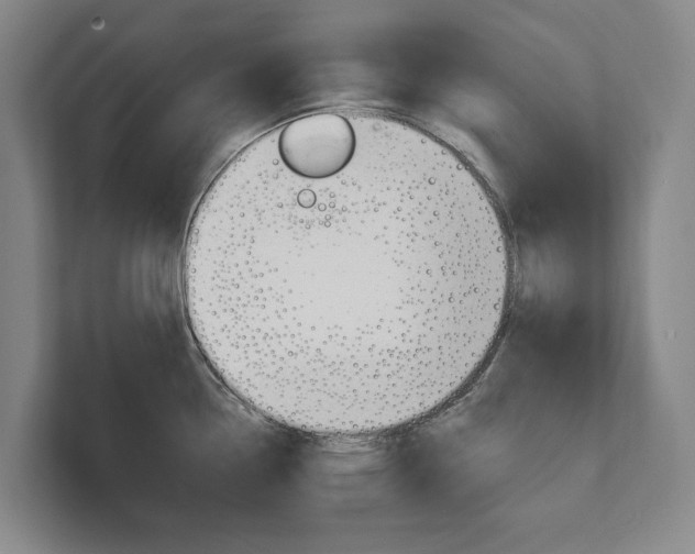 X0000111801338200907230947