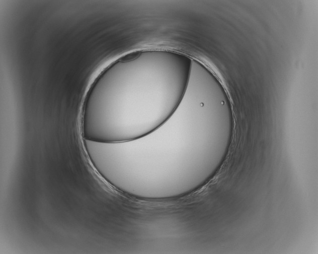 X0000111801344200907230947