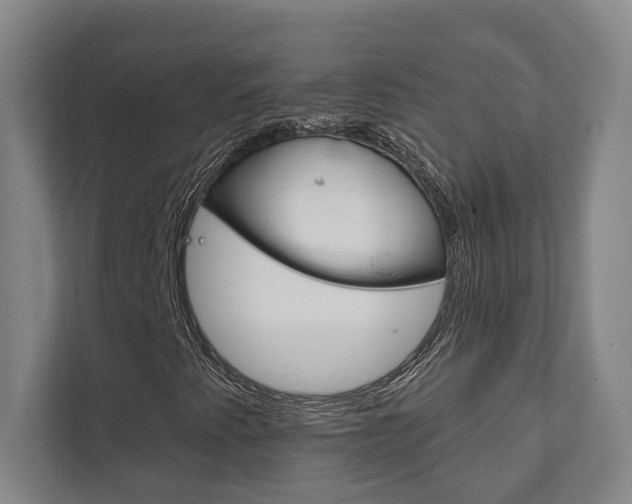 X0000111801345200907230947