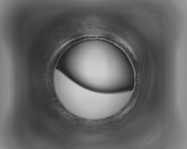 X0000111801352200907230947