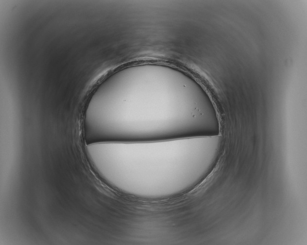 X0000111801355200907230946