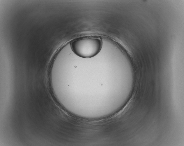 X0000111801357200907230946