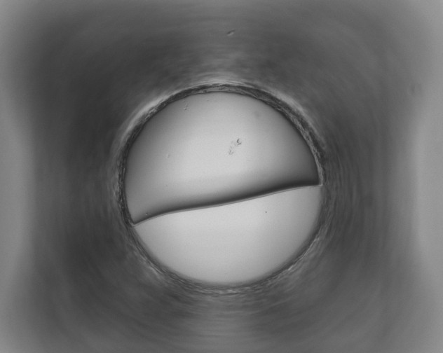 X0000111801359200907230946