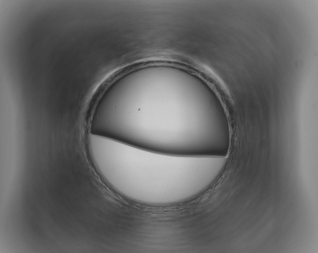 X0000111801360200907230946