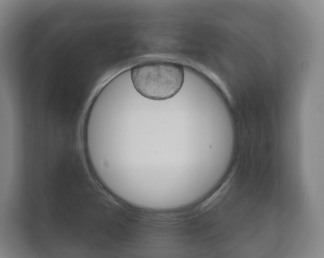 X0000111801365200907230946