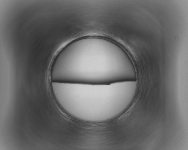 X0000111801367200907230946