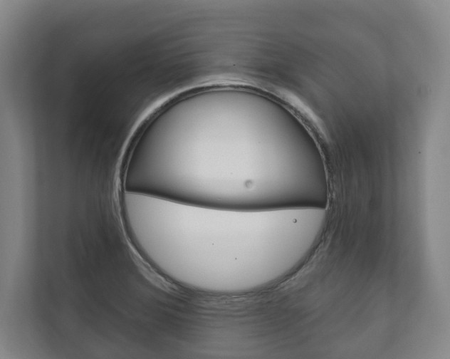 X0000111801372200907230946