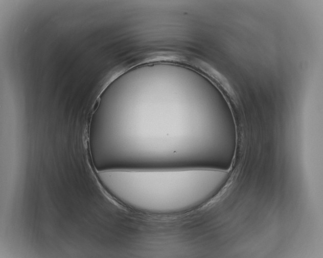 X0000111801377200907230946