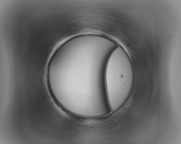 X0000111801379200907230946