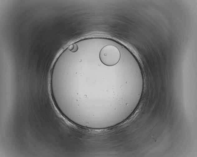 X0000111801390200907230946