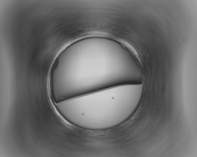 X0000111801391200907230946