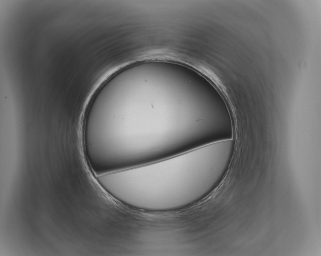 X0000111801392200907230946