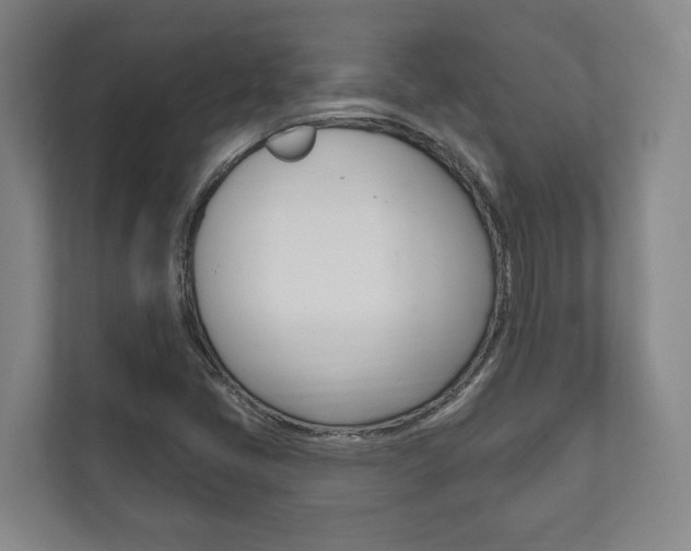 X0000111801405200907230946