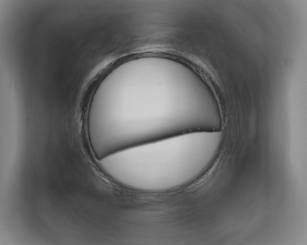 X0000111801406200907230946