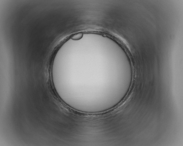 X0000111801407200907230946
