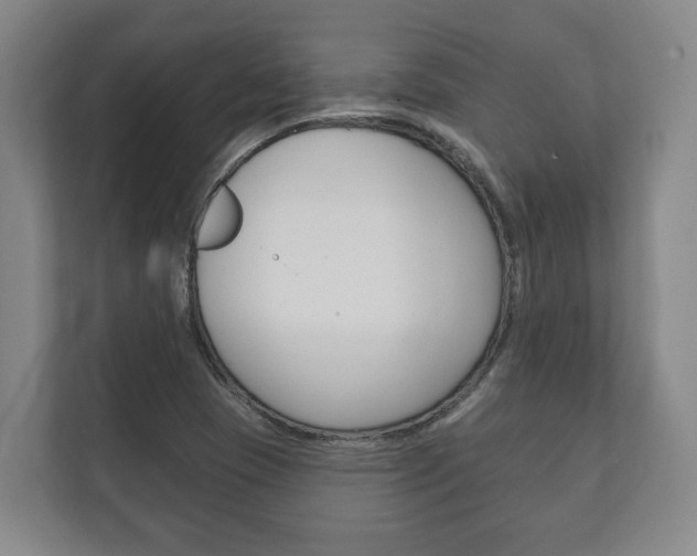 X0000111801409200907230946