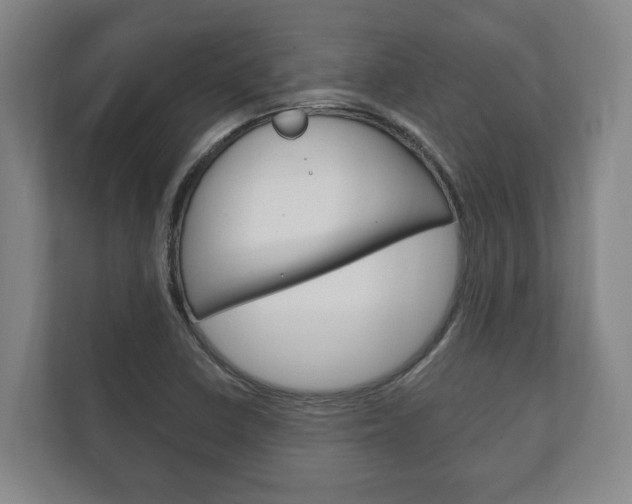 X0000111801410200907230946