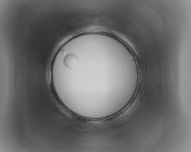 X0000111801413200907230946